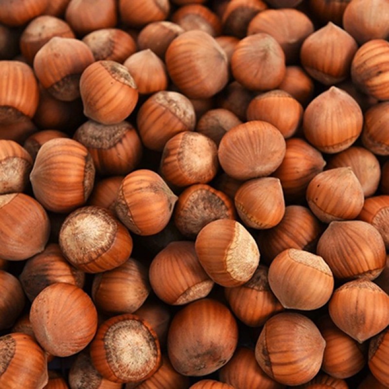 Kabuklu Giresun Fındığı 250 Gr